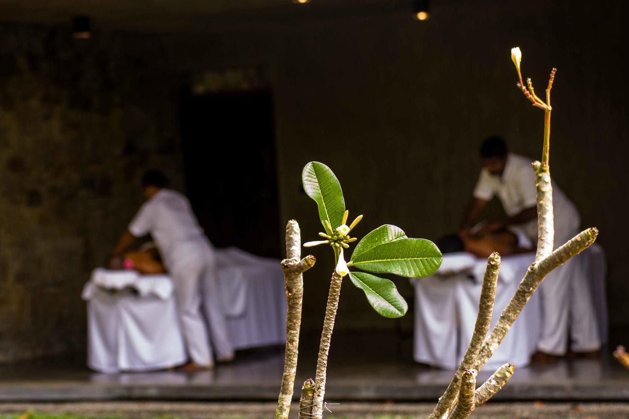 Santani Wellness Канди Экстерьер фото